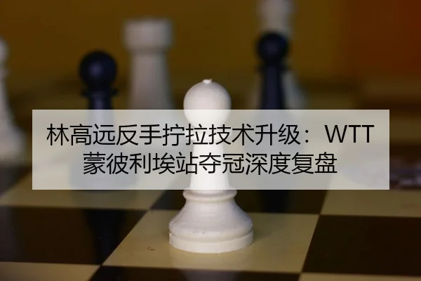 林高远反手拧拉技术升级：WTT蒙彼利埃站夺冠深度复盘